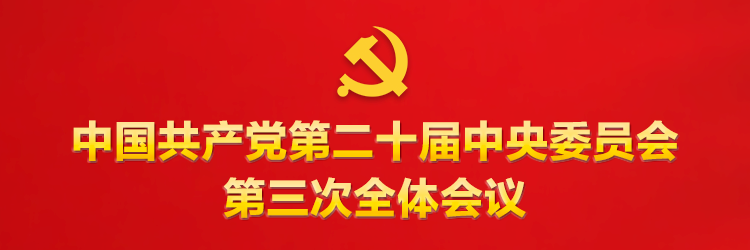坚持党的全面领导，确保改革始终沿着正确政治方向前进——论学习贯彻党的二十届三中全会精神